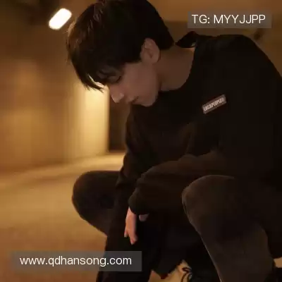 万桢翼